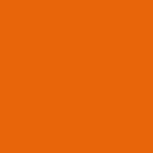 Daisy Bright Orange x Block Colour