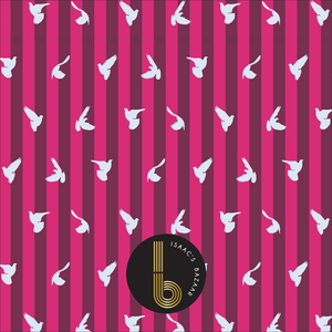Isaac’s Bazaar x Imagine Stripe - Burgundy/Pink